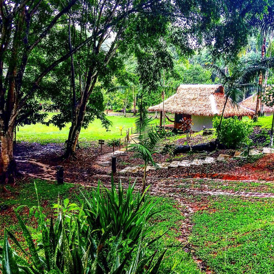 La Habana Amazon Reserve Puerto Maldonado Buitenkant foto
