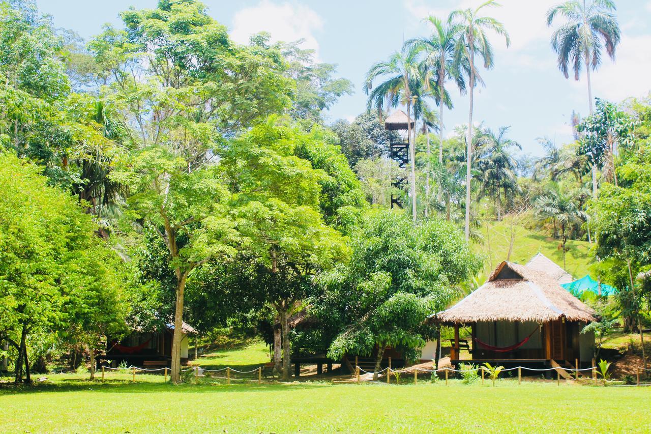 La Habana Amazon Reserve Puerto Maldonado Buitenkant foto