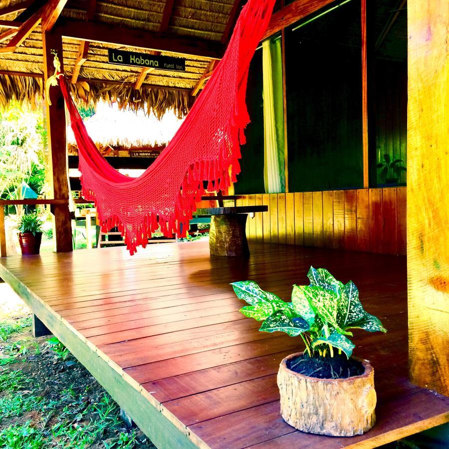 La Habana Amazon Reserve Puerto Maldonado Buitenkant foto